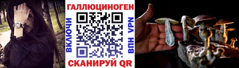 Галлюциногенные грибы мицелий  Оренбург 
