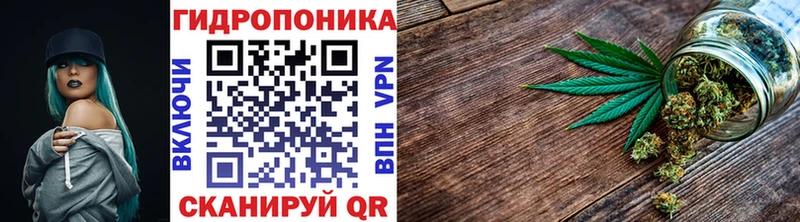 Бошки Шишки гибрид  купить наркотики сайты  Оренбург 