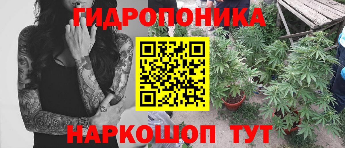 Бошки Шишки тримм  Вход с VPN  Конопля тримм  Оренбург  МАРИХУАНА ГИДРОПОН 